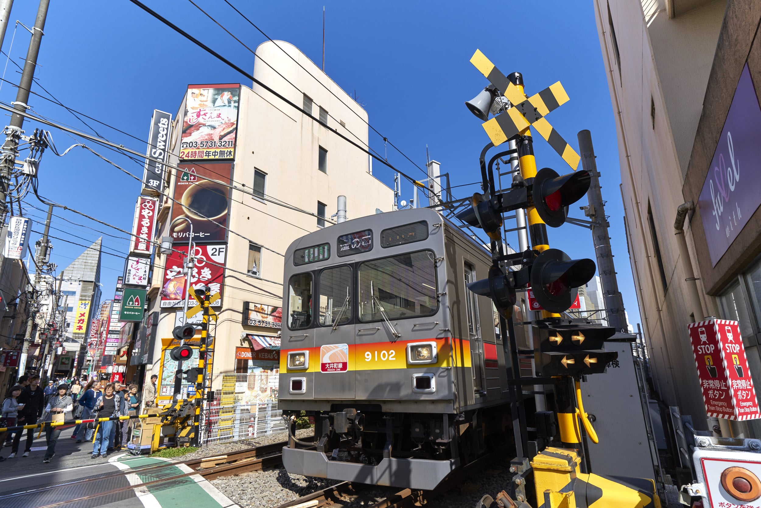 DSC09931 1.jpg