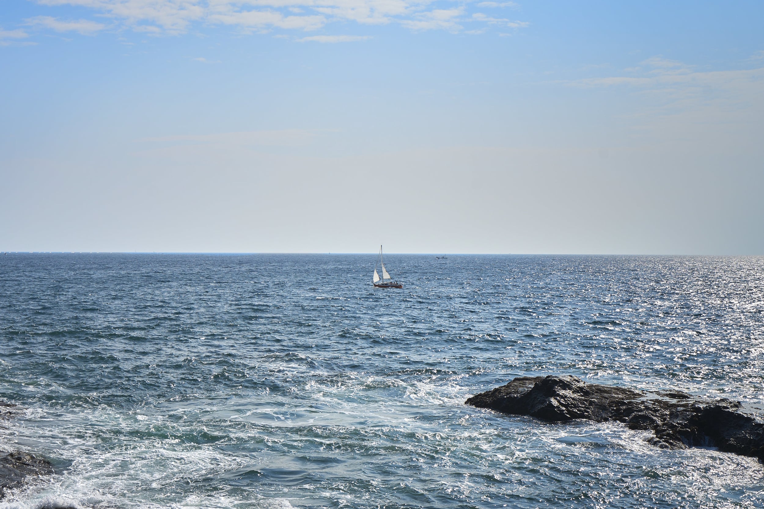DSC09872 1.jpg