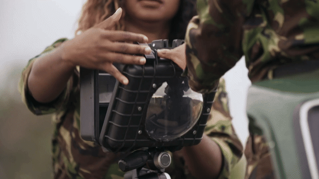 Be a virtual ranger with Wildlife Watch and Samsung-2.gif