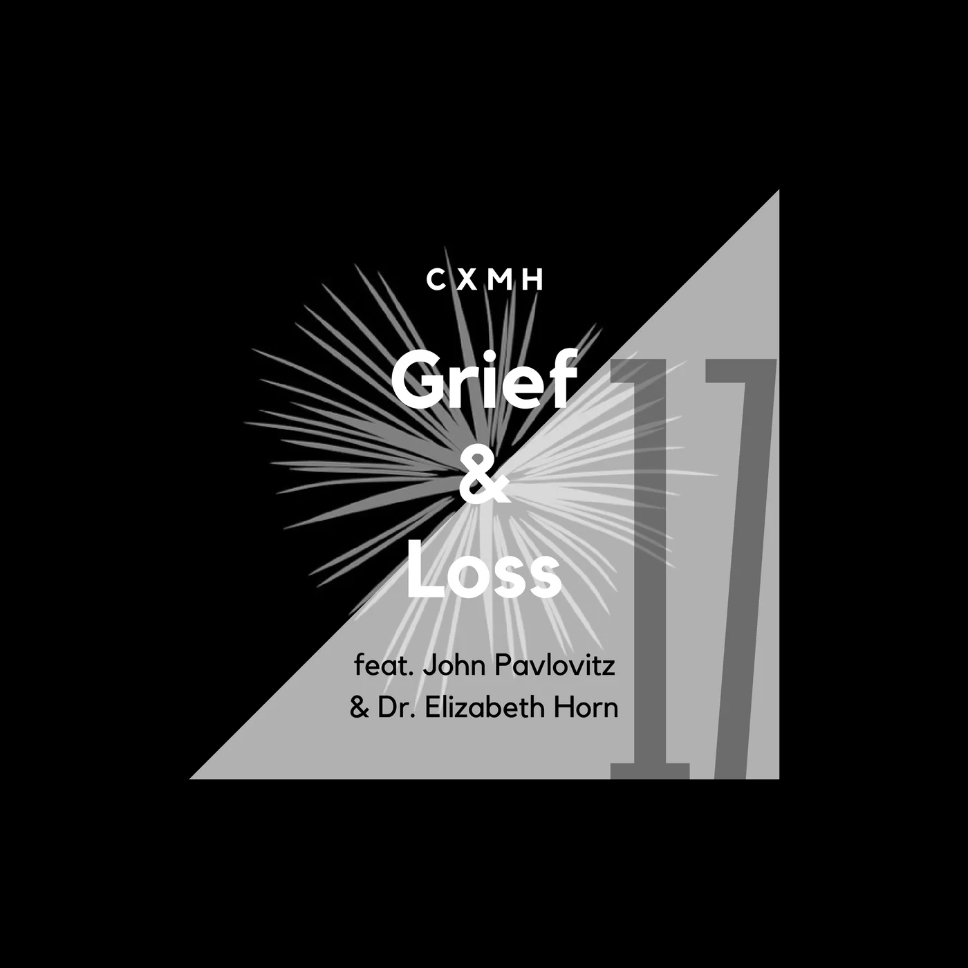 17 - Grief & Loss (feat. John Pavlovitz & Dr. Elizabeth Horn)