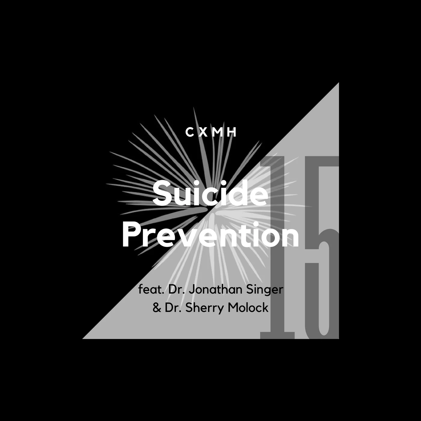 15 - Suicide Prevention (feat. Dr. Jonathan Singer & Dr. Sherry Molock)