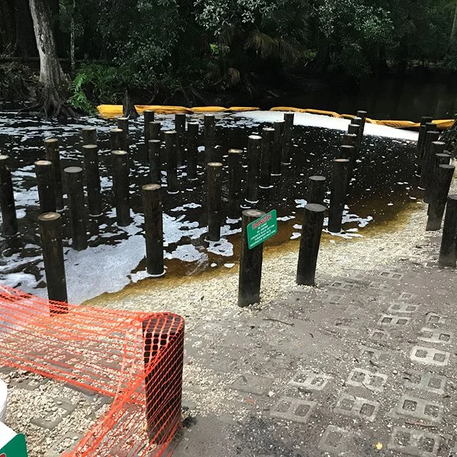 #loxahatcheeriver #palmbeachcounty #dock #kayaking #canoeing