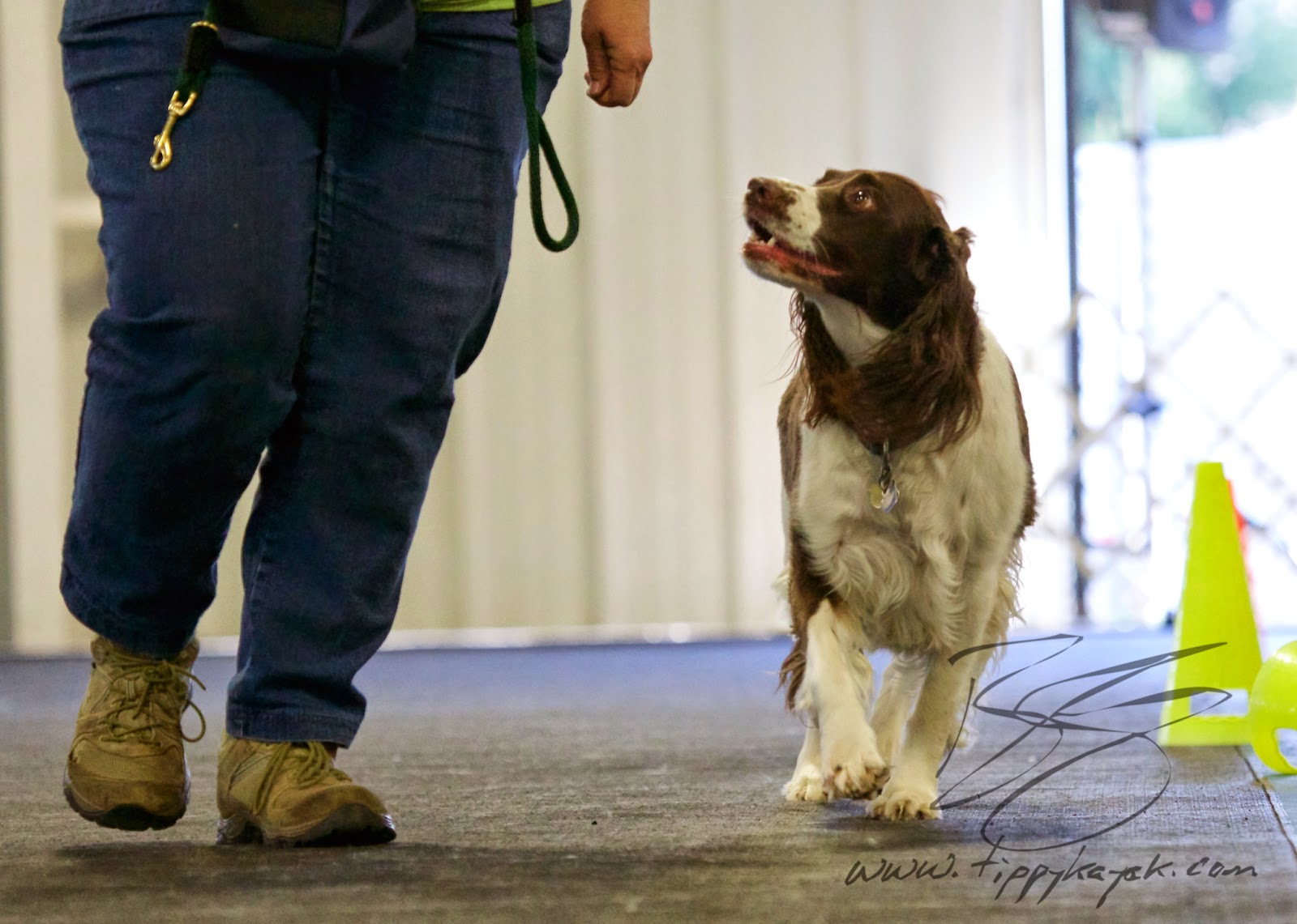 Sometimes we have handlers work entirely without a leash so they learn to use their attention and voice instead of force to connect with their dogs.