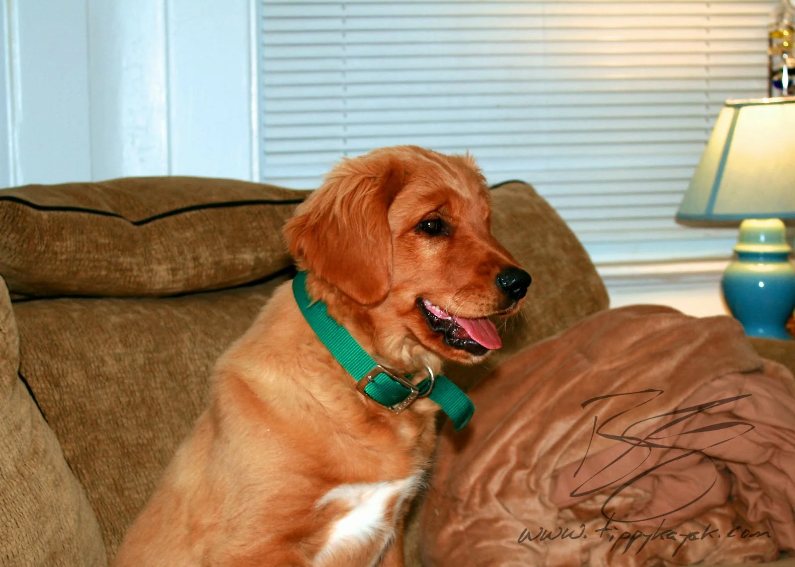 Jax, 2009