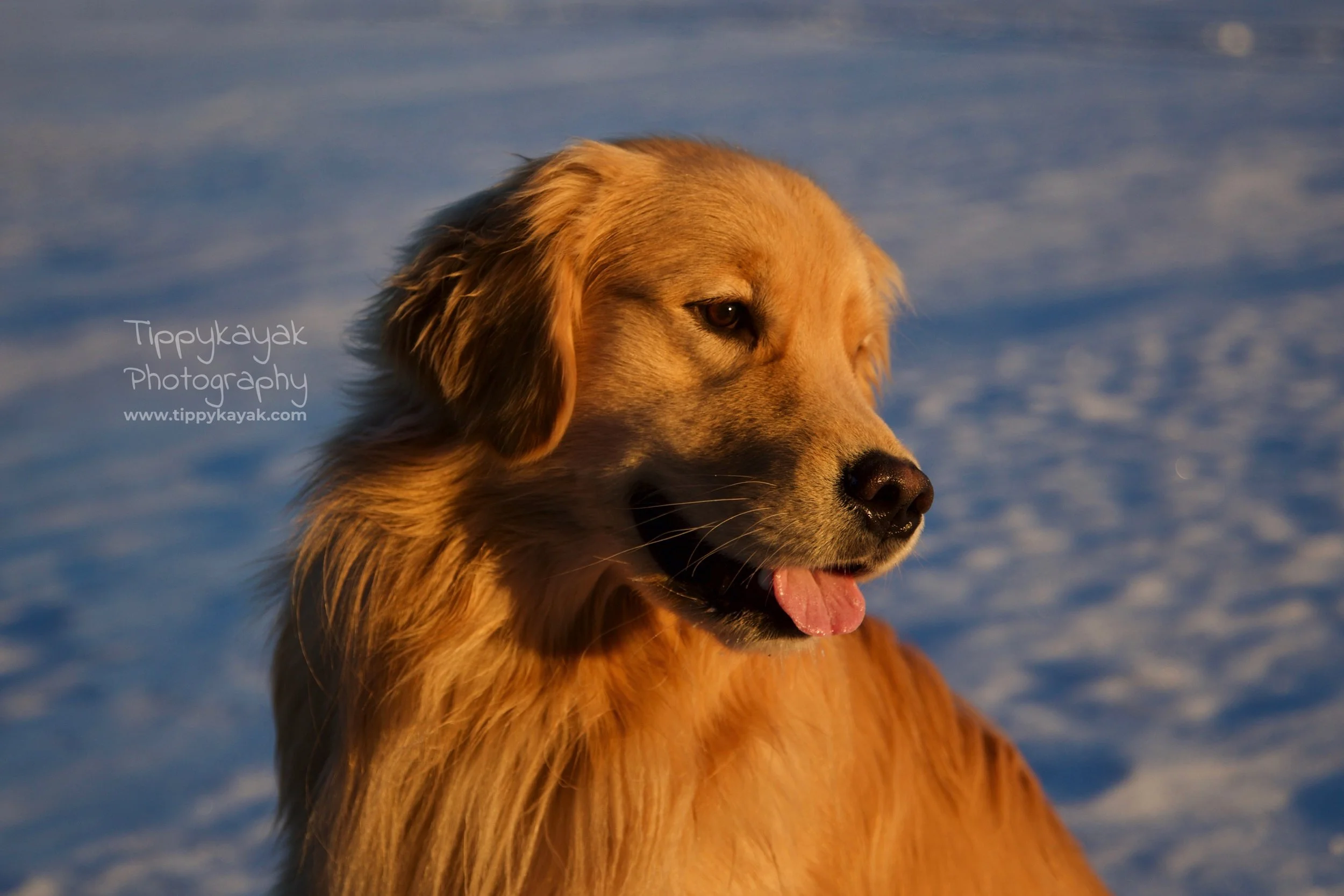IMG_1197 watermarked.jpg