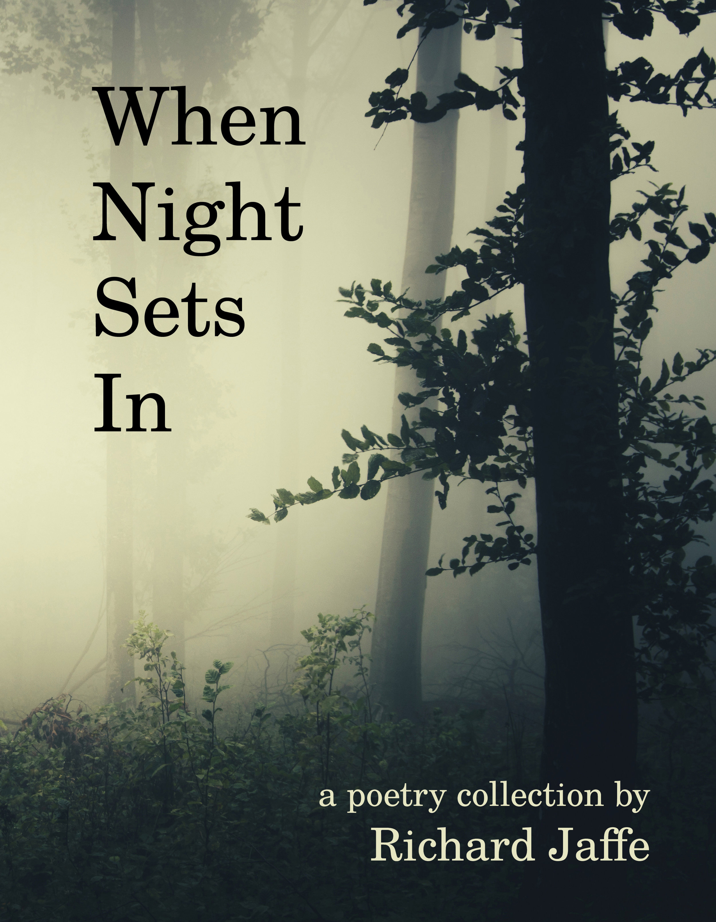 When Night Sets In by Richard Jaffe