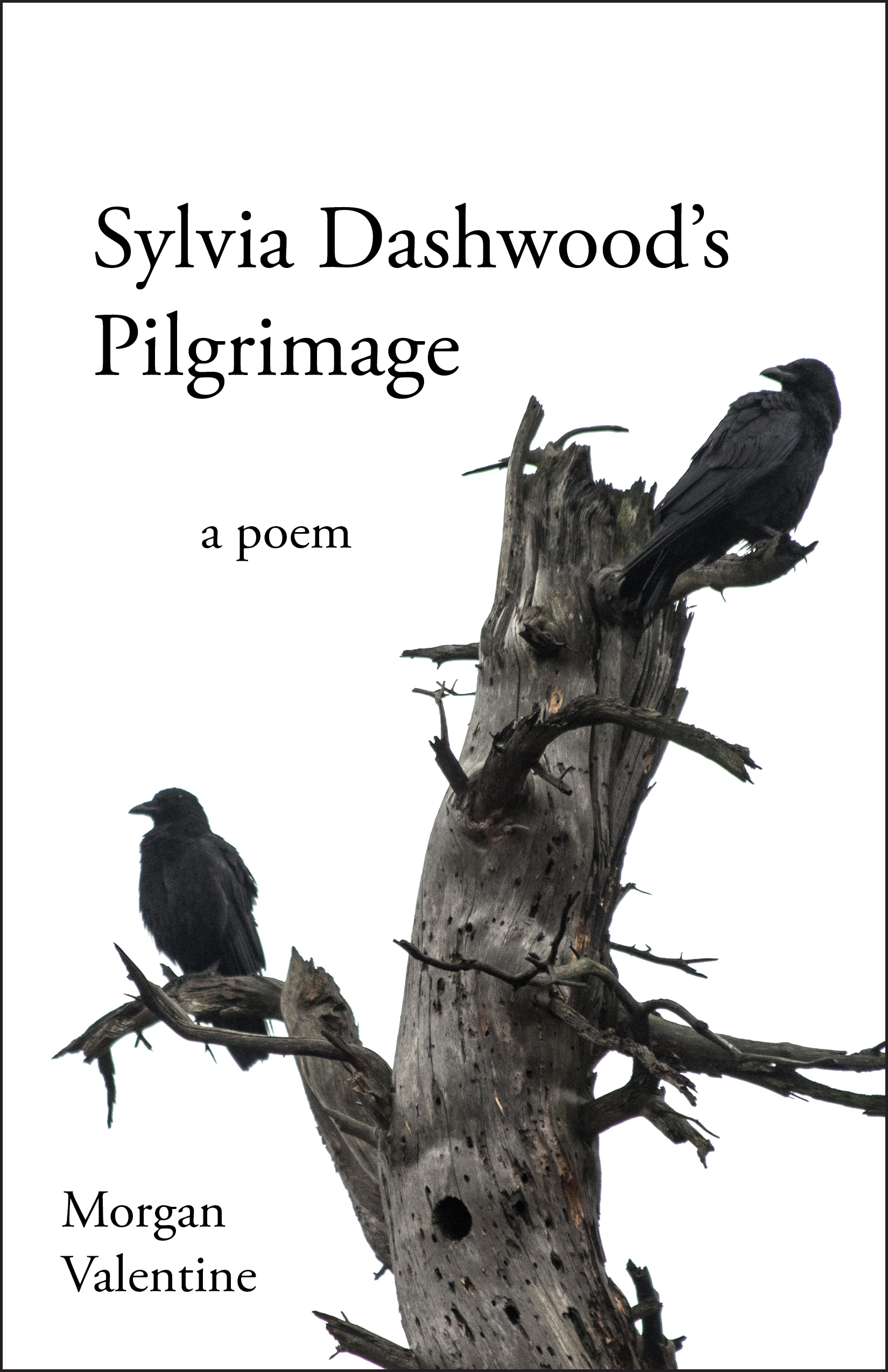 Sylvia Dashwood's Pilgrimage by Morgan Valentine