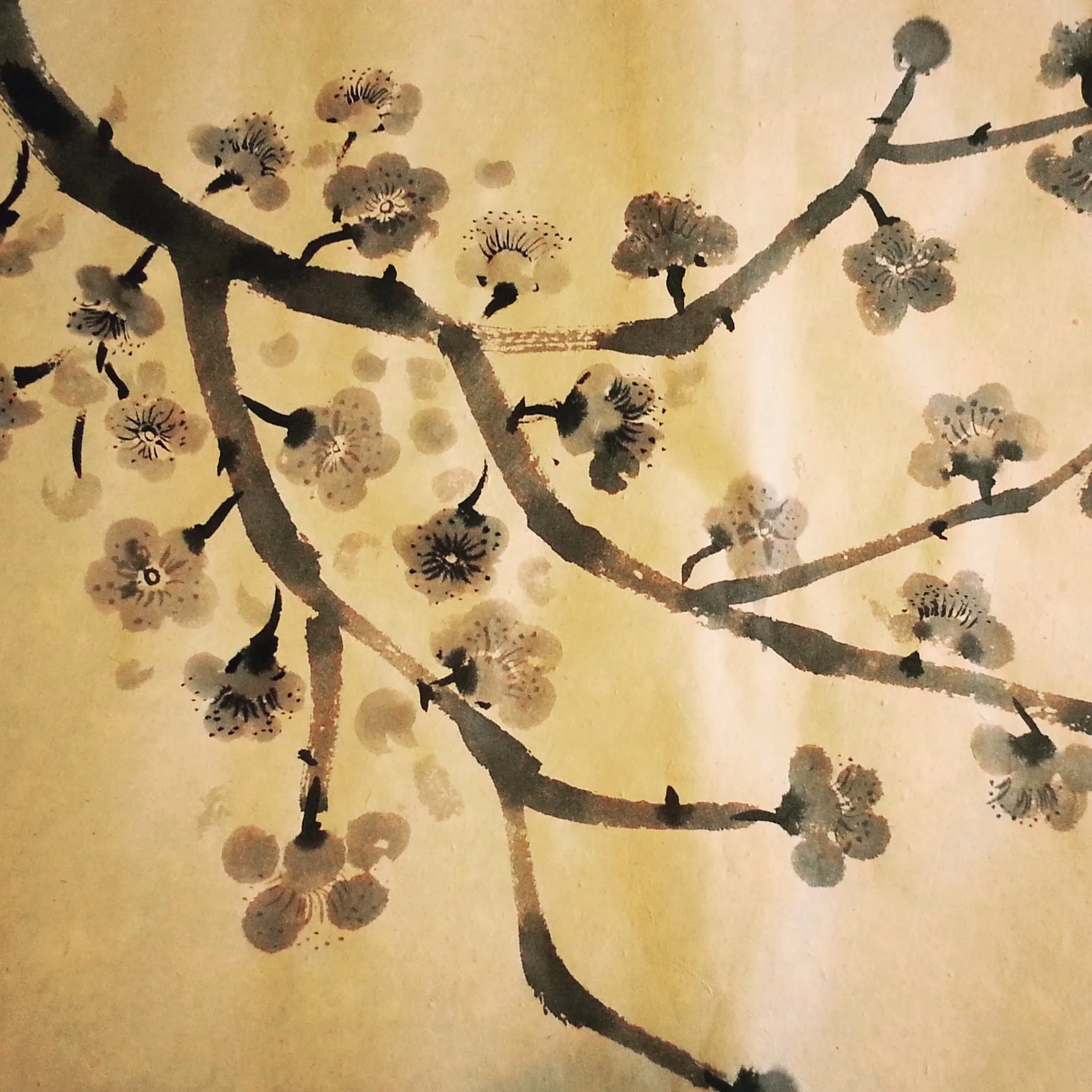 Cherry blossom ~ Asian Art, Pattern Design, Shaheen Kasmani