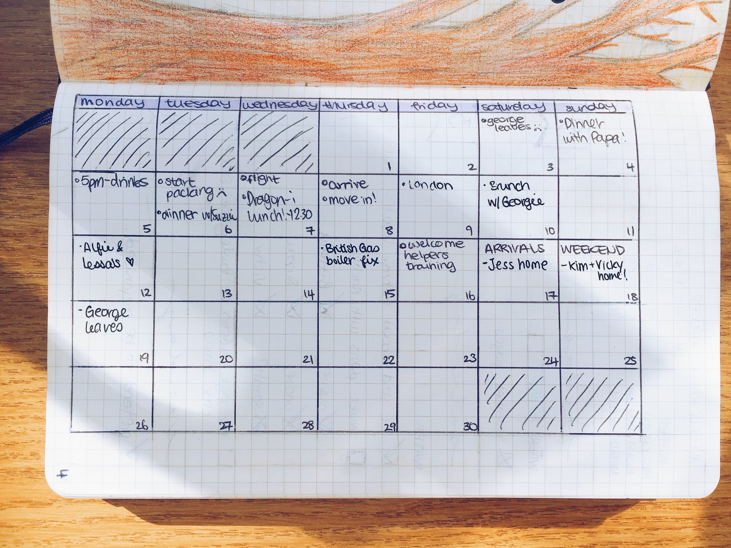 My incredibly exciting plans this month. 