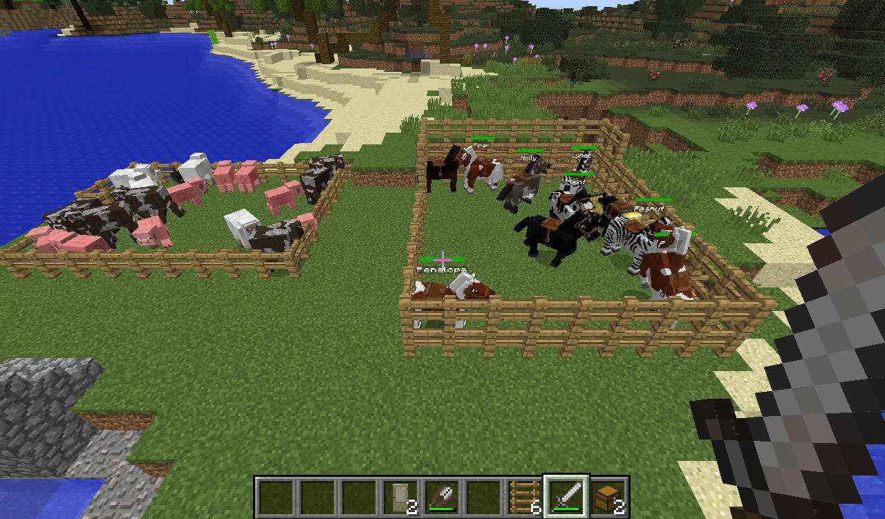 All our cattles and horses. (Yes, I do name each and every one of the horses).