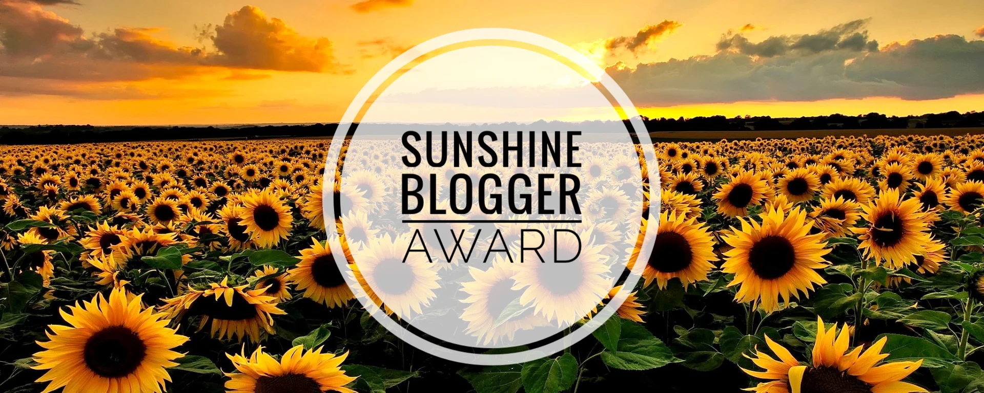sunshine blogger award.jpg