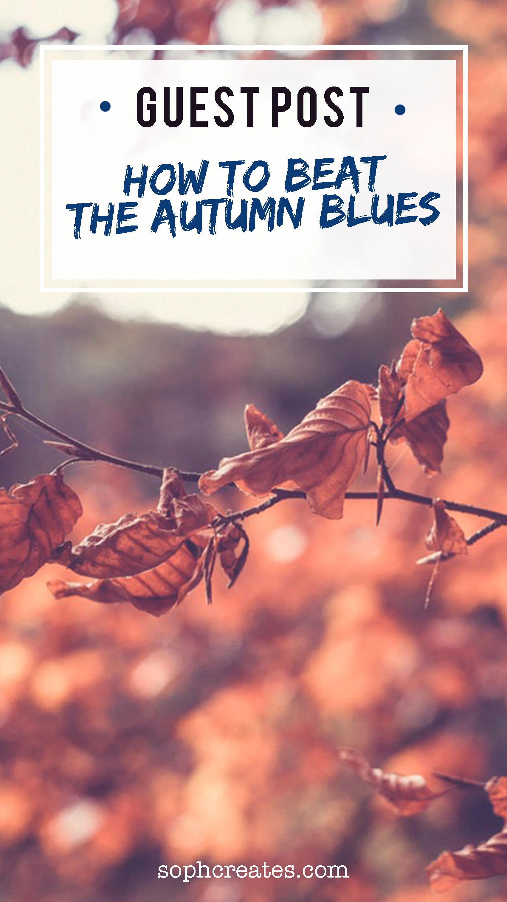 autumn.jpg