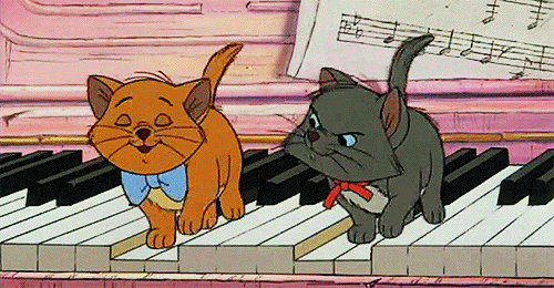 cat.gif
