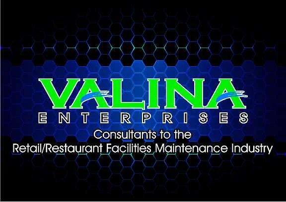 Valina Enterprises Logo Possibilities.jpg