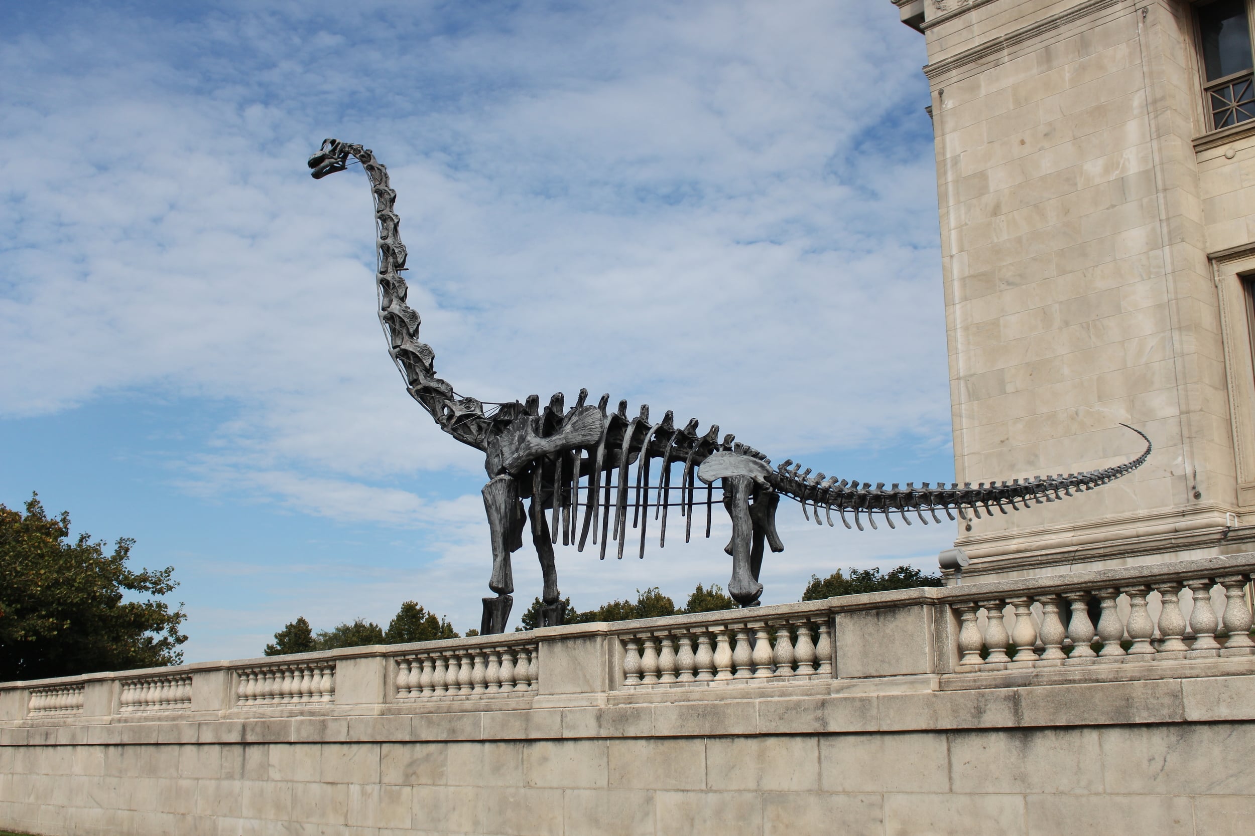 Field Museum of Natural History, Chicago, March 2015
