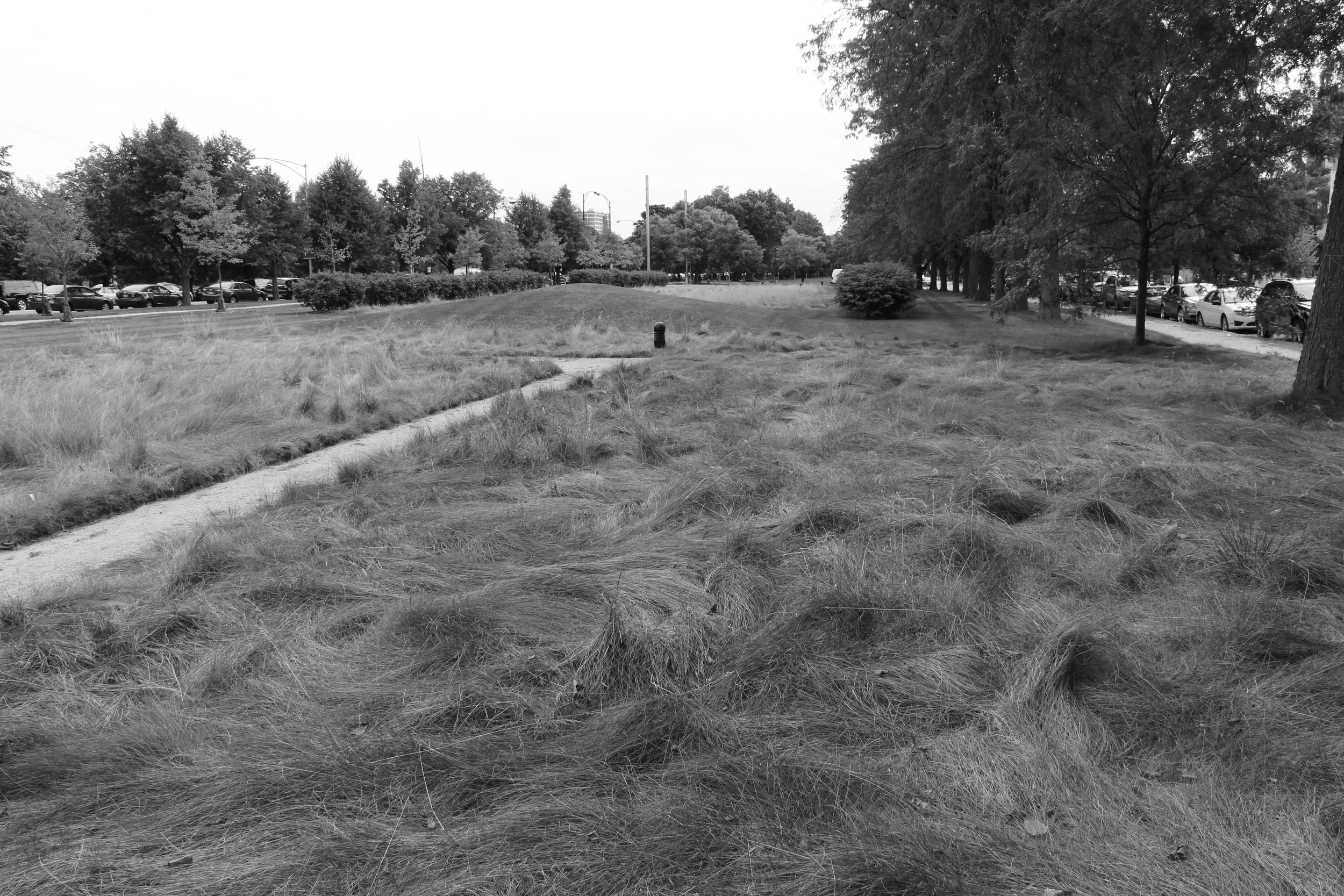 Open Grass Field - University of Chicago Campus - Fall 2015