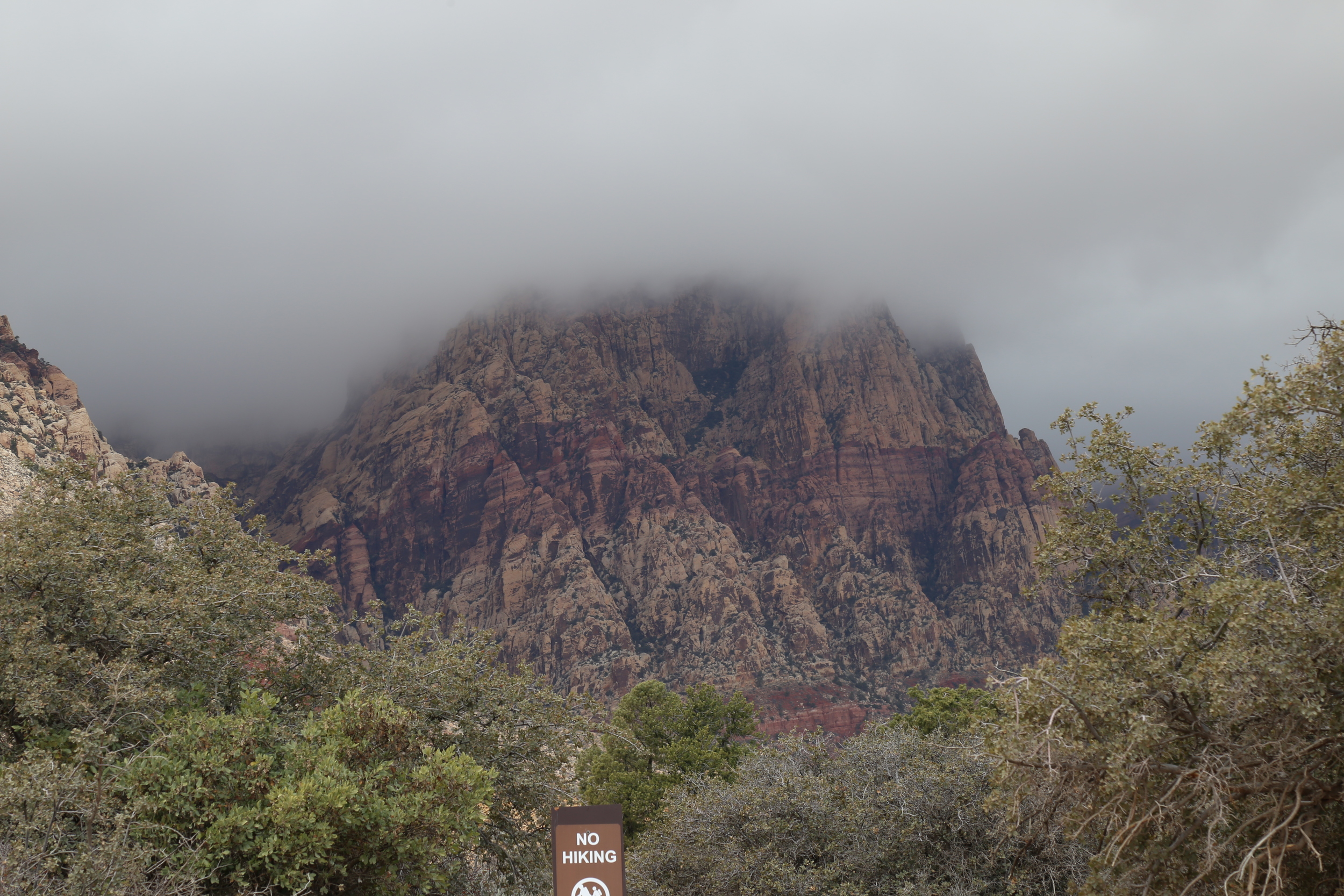 Mid-Day Mist On The Rocks