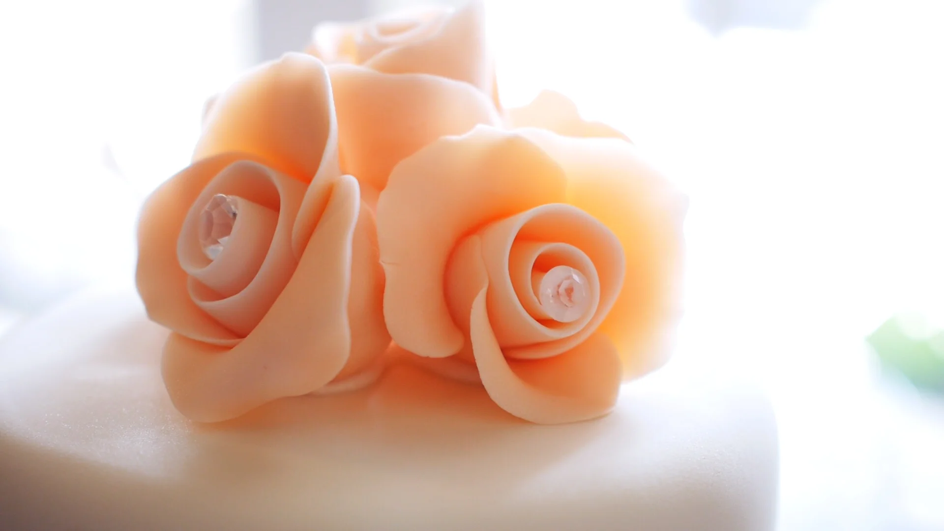 Welcome to the New Website!