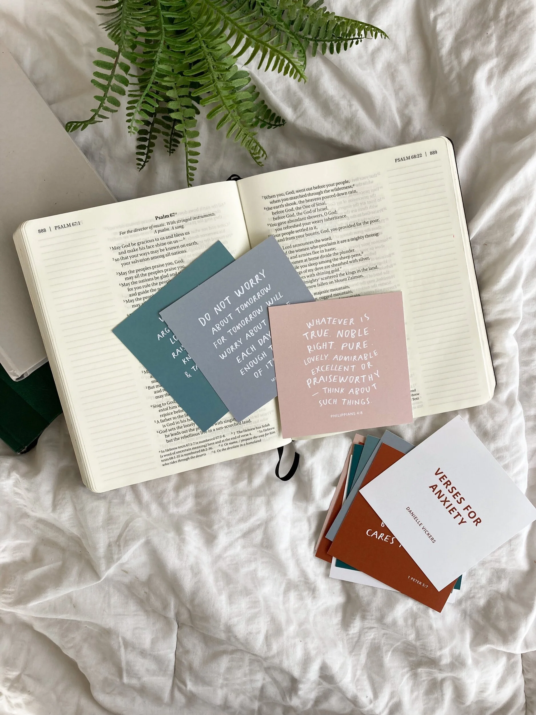 7DD8C426-679A-4945-A95F-87F8E9BCD107