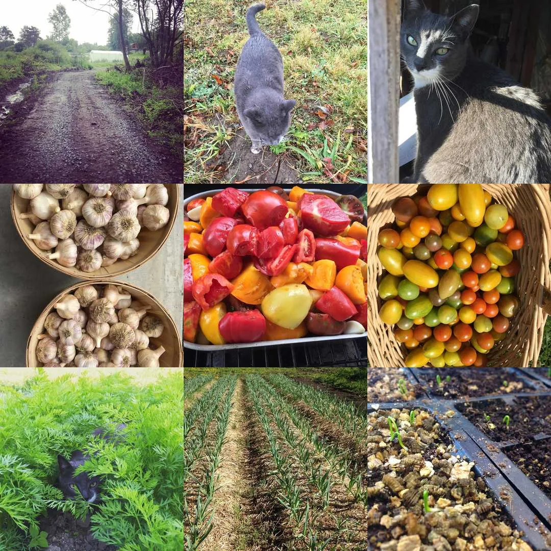 Online Store is Live!