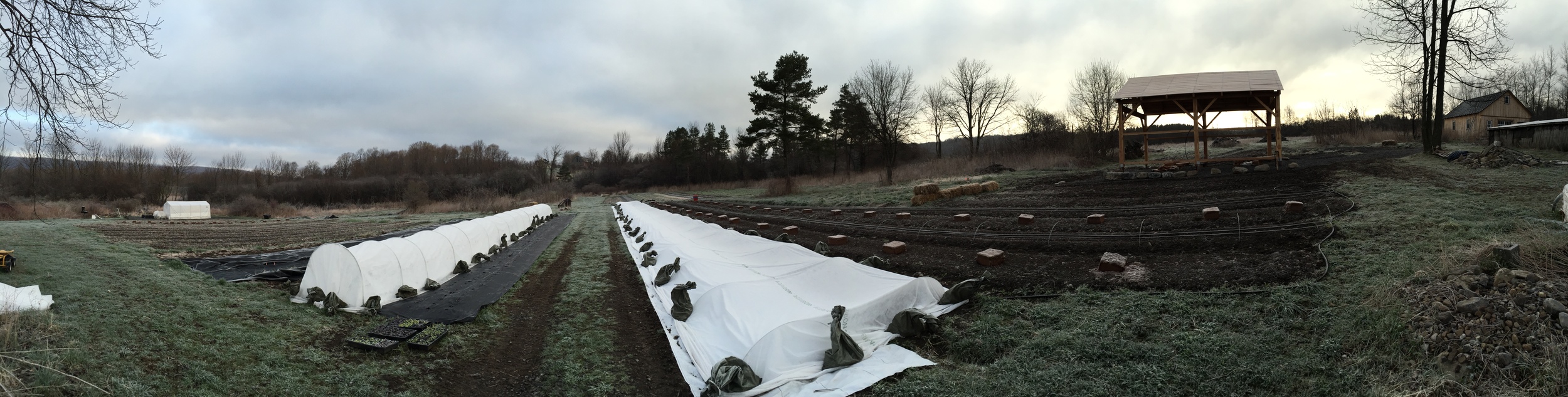 MARKET SEASON UNDER WAY!