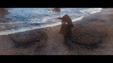 Skylark GIF 11_480.gif