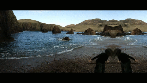 Skylark GIF 12_480.gif