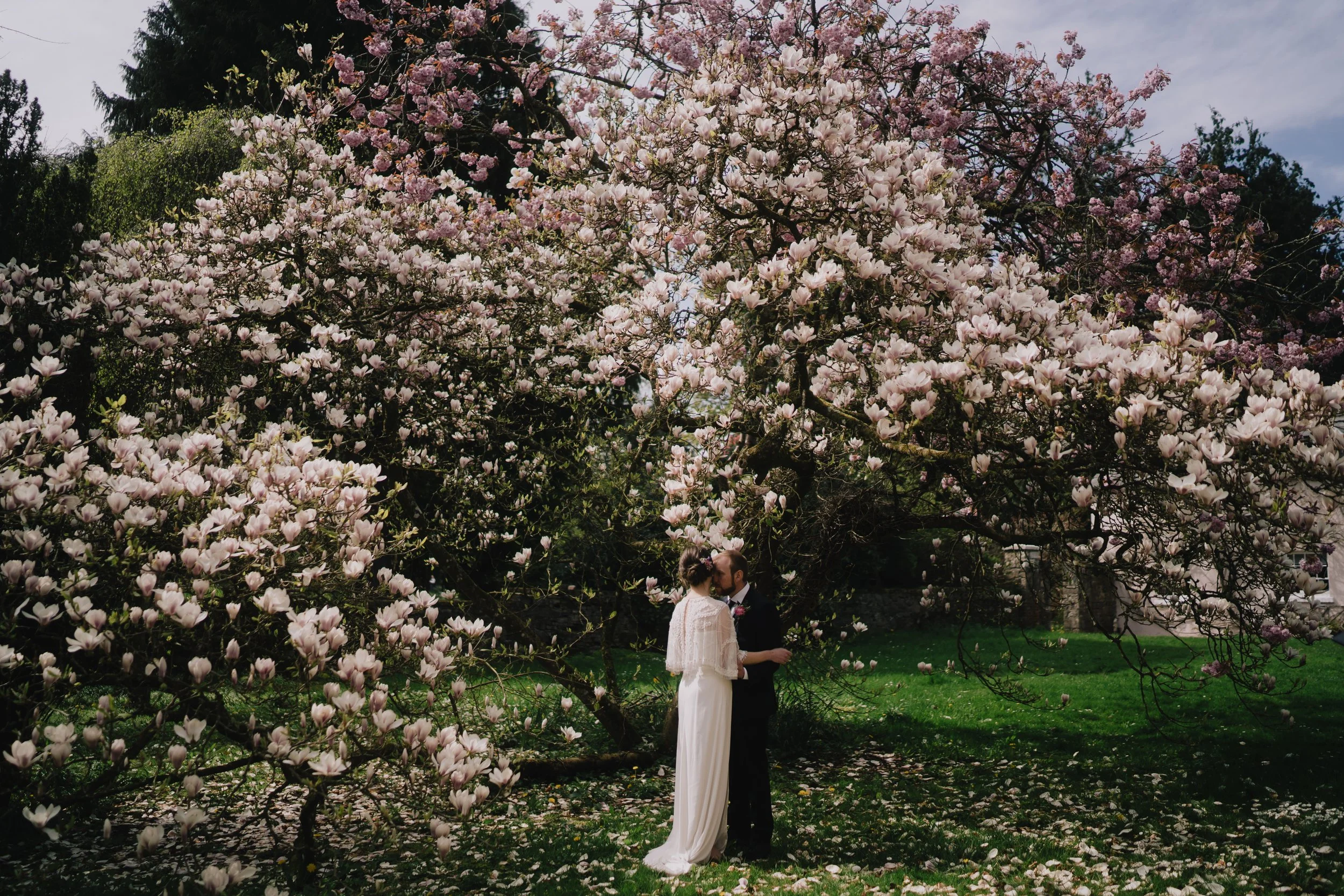 couple stand under a cherry blossom in bloom