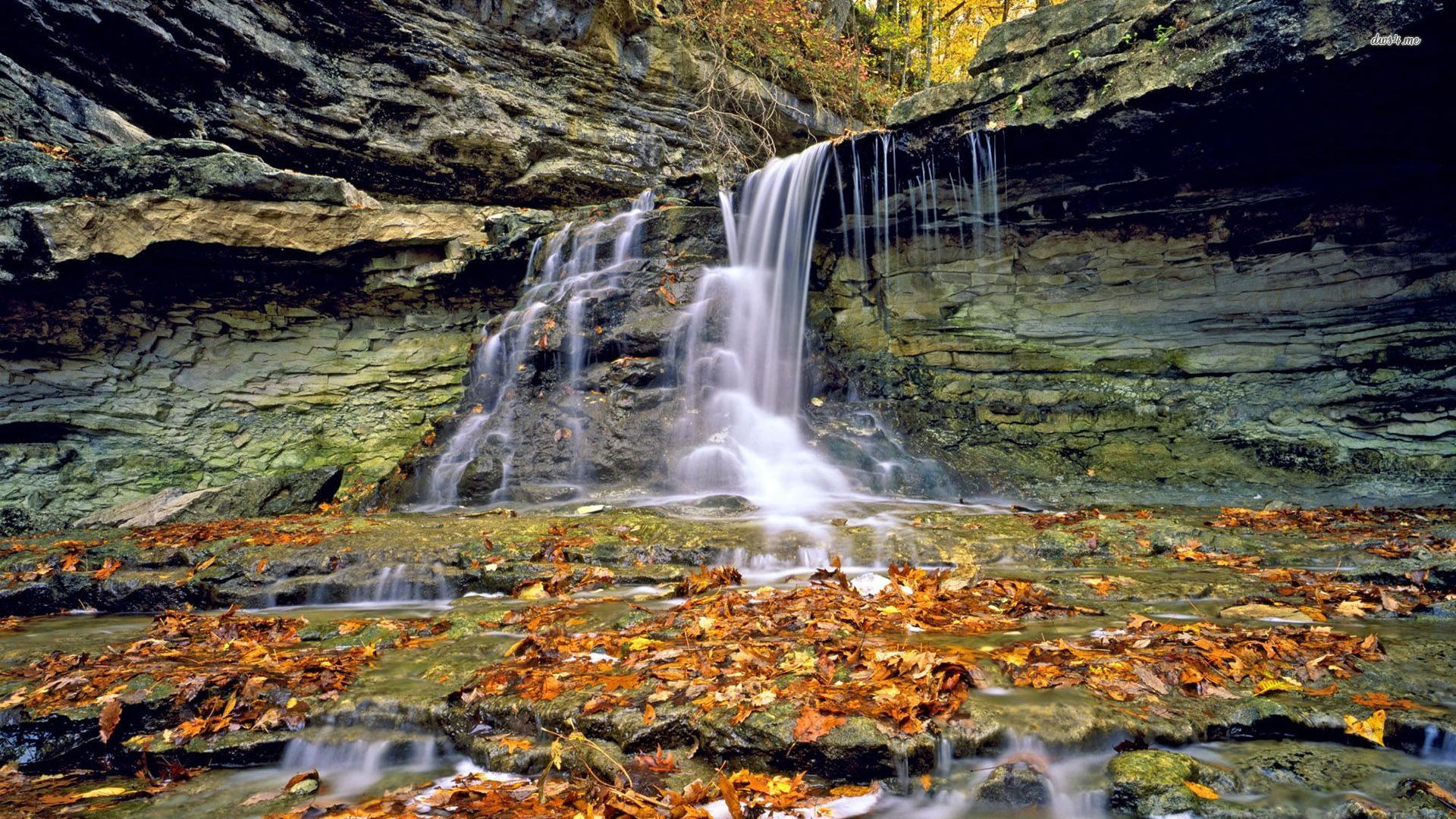 McCormick's creek state park