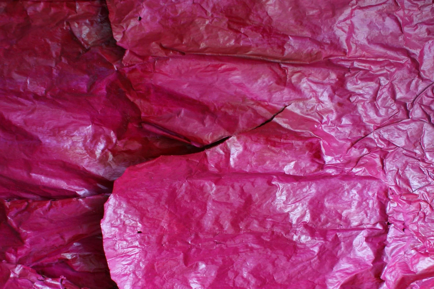 detail of Fuchsia Sublime - painting by Tiffany Gholar