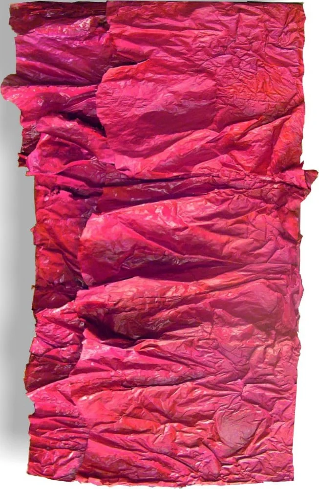 Fuchsia Sublime - painting by Tiffany Gholar