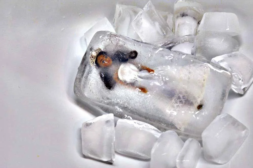 frozen bride 1.jpg