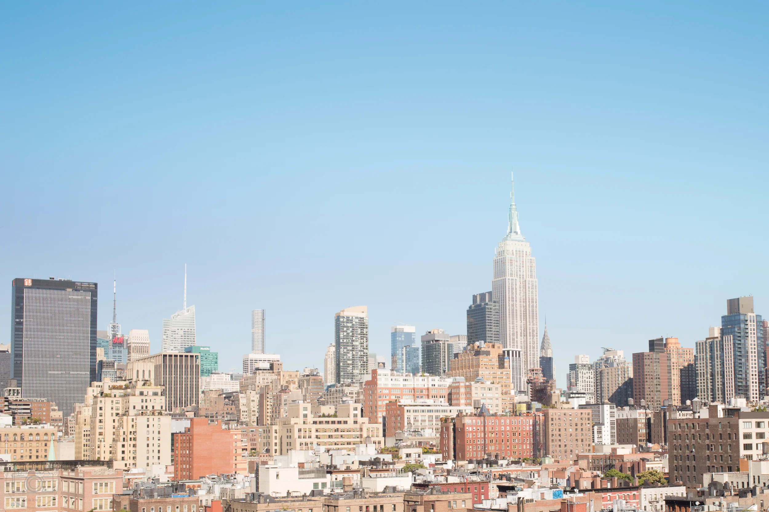 SquareSpace-Gallery-20151006-1V2A0348.jpg