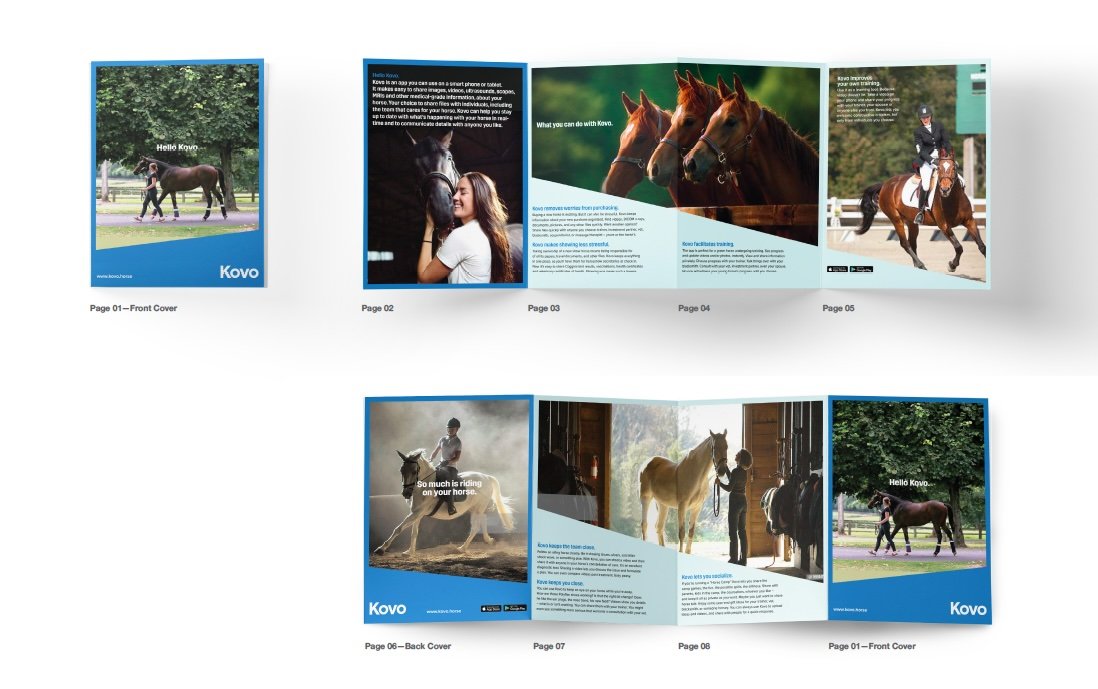  Brochure content and copywriting. 