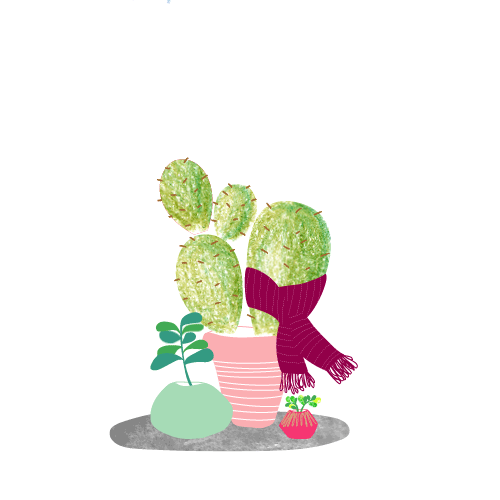 heylux-cacti-in-winter.gif