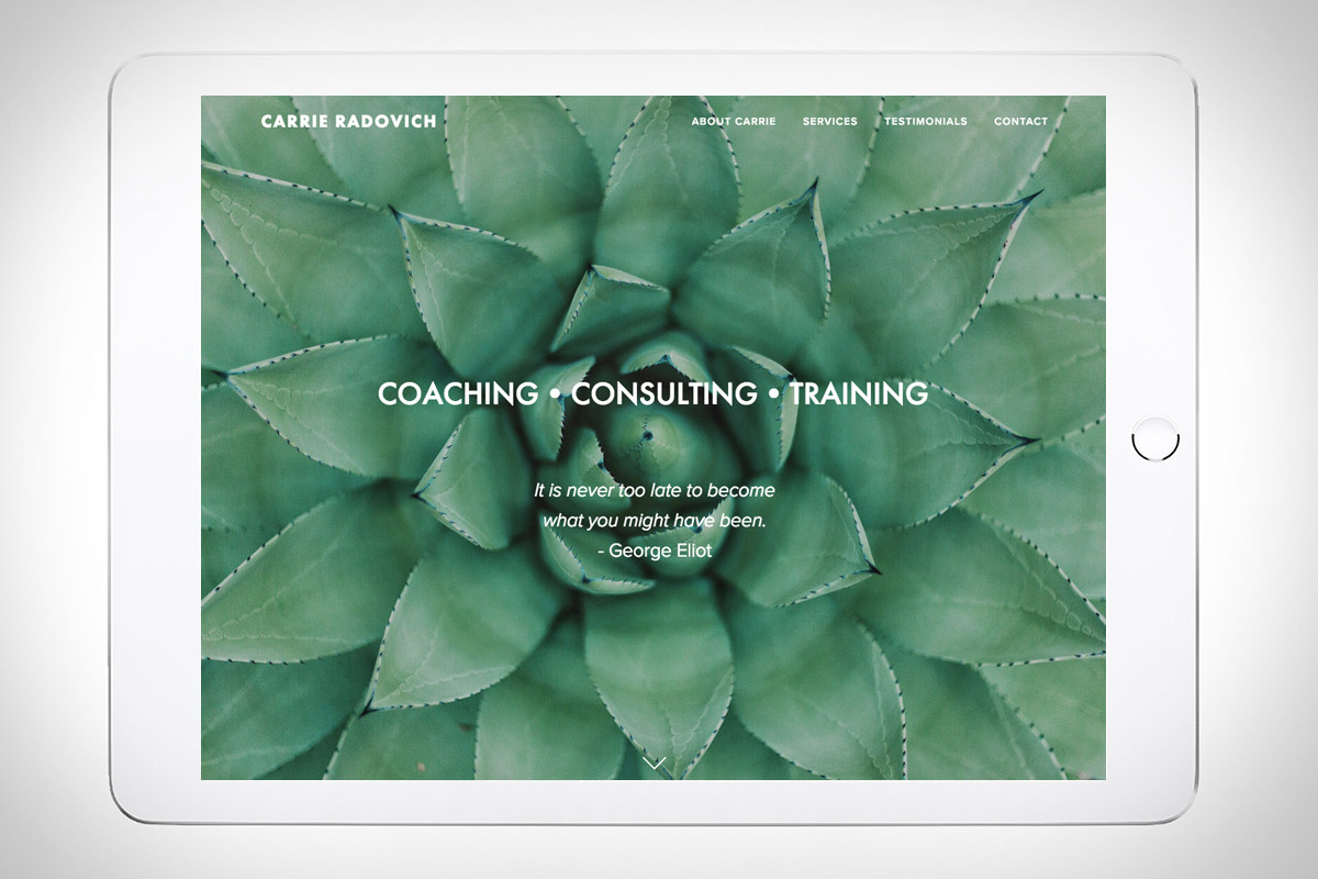 Carrie Radovich - Life/Career Coaching