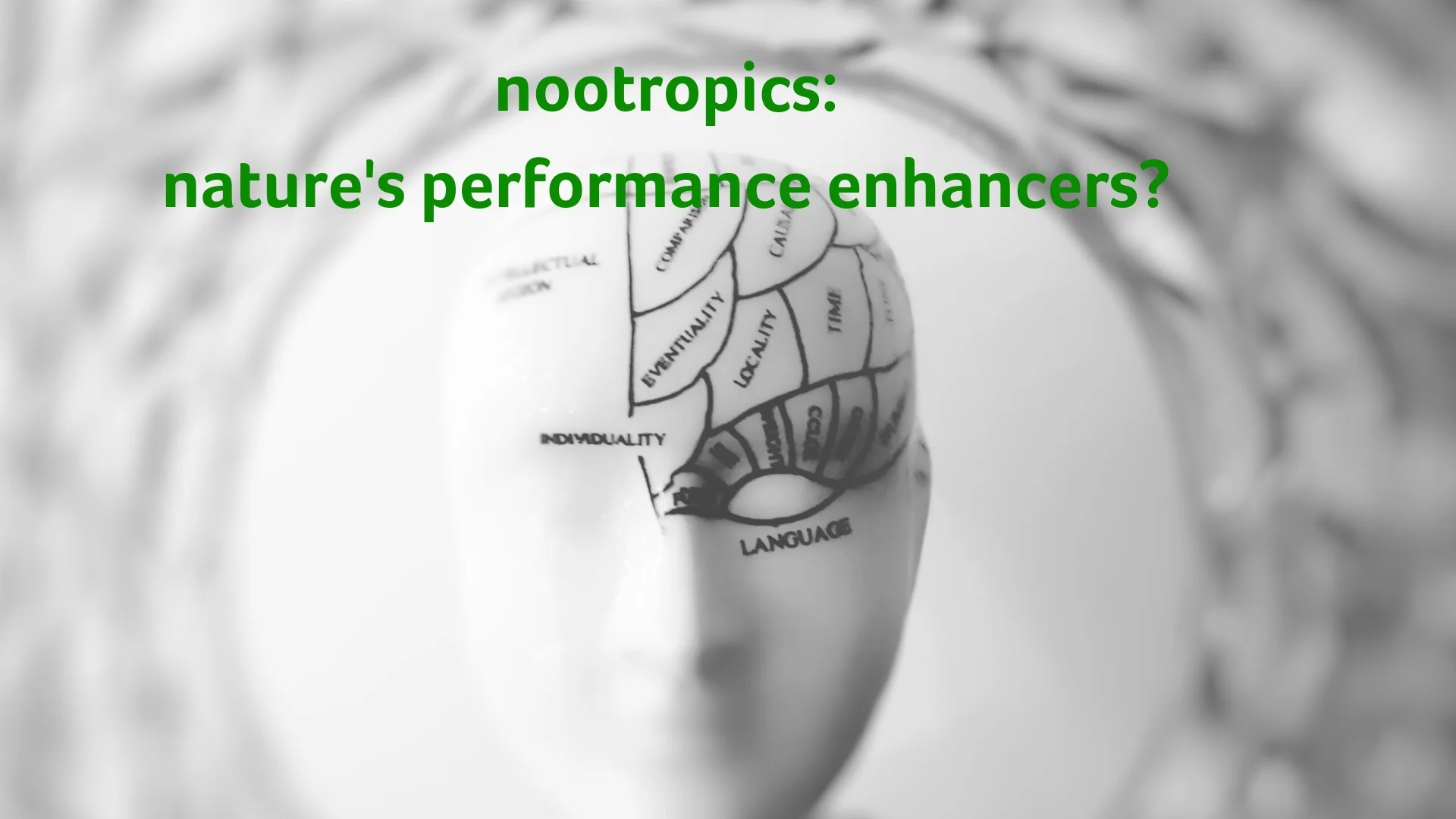 nootropics - nature's own performance enhancers.jpg