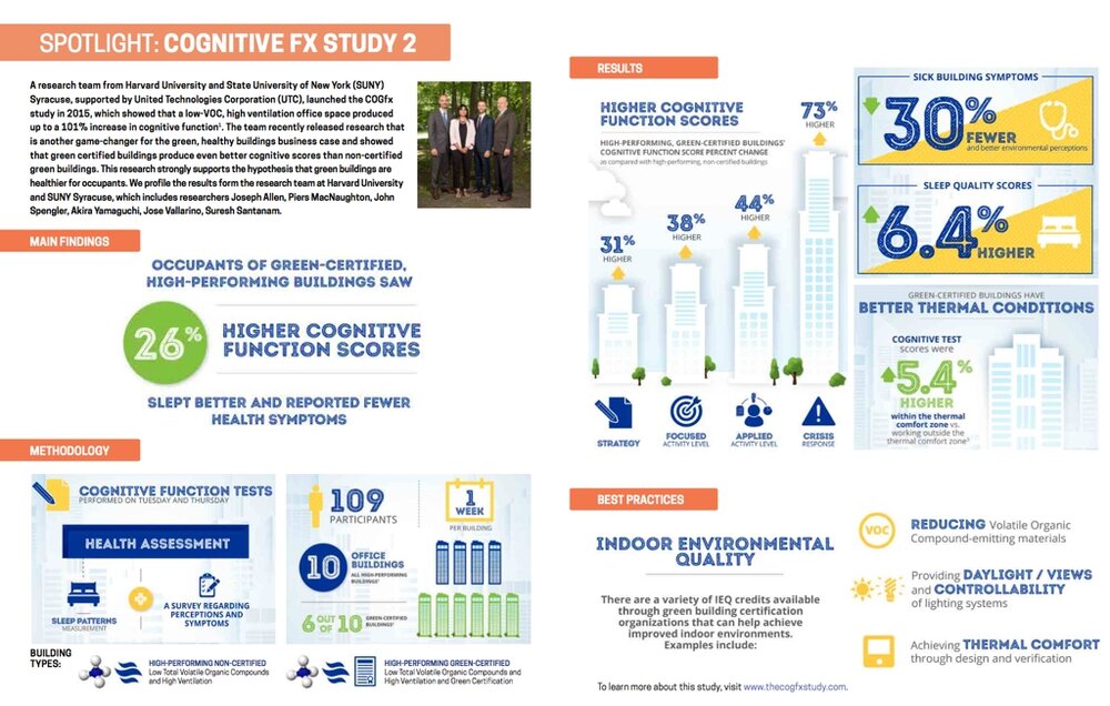 google+office+biophila+biophilic+design+COGFX+study.jpeg