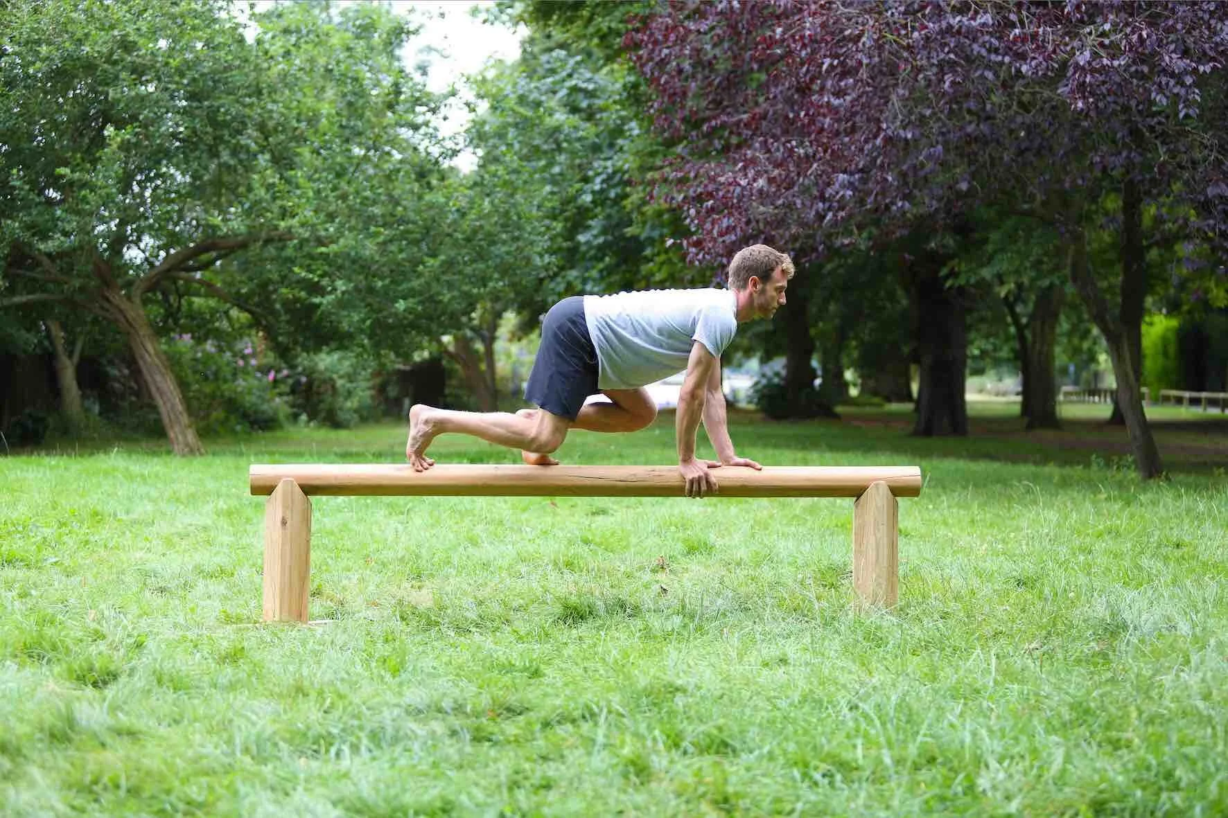 biofit outdoor gym equipment wood