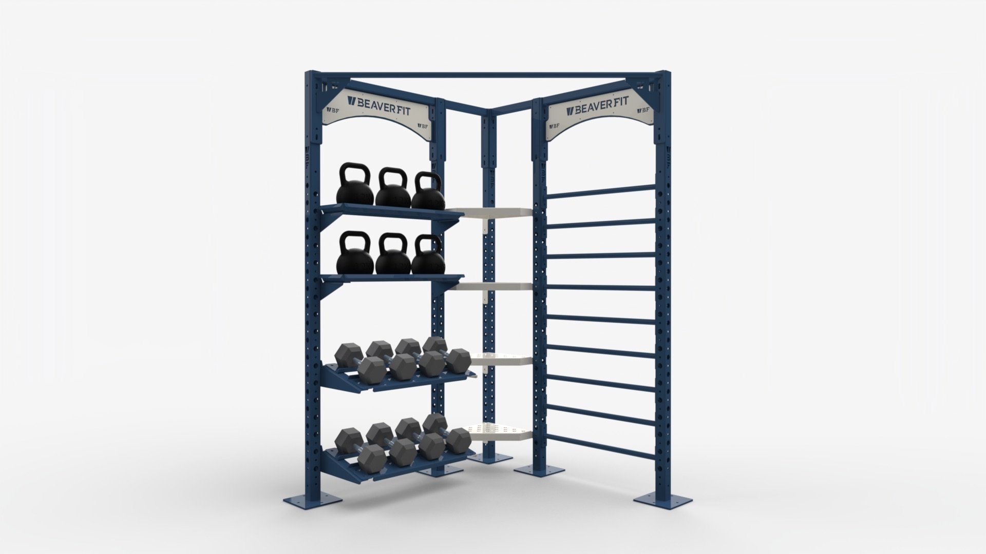 BeaverFit custom corner rig Biofit LR.jpg