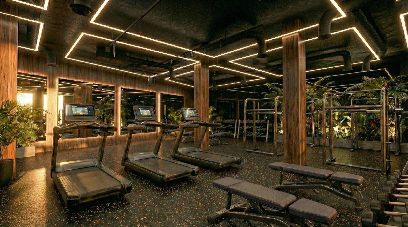 Modern gym interior with cardio treadmills, strength zone, mirrors, feature ceiling lighting and planting.