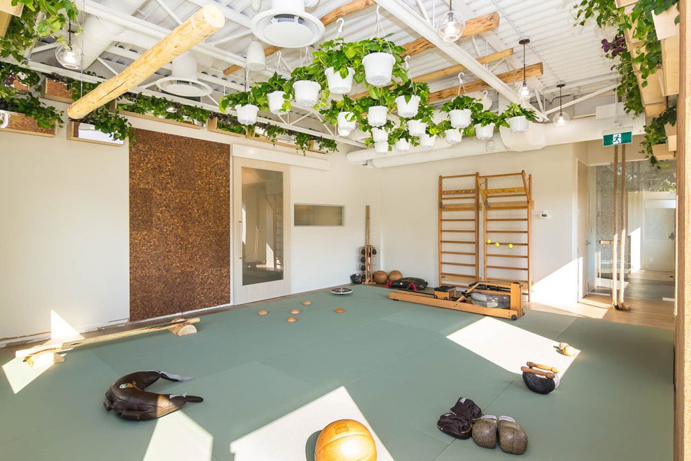 The 'as nature intended' trend in health & fitness — wellness spaces + gym  consultants