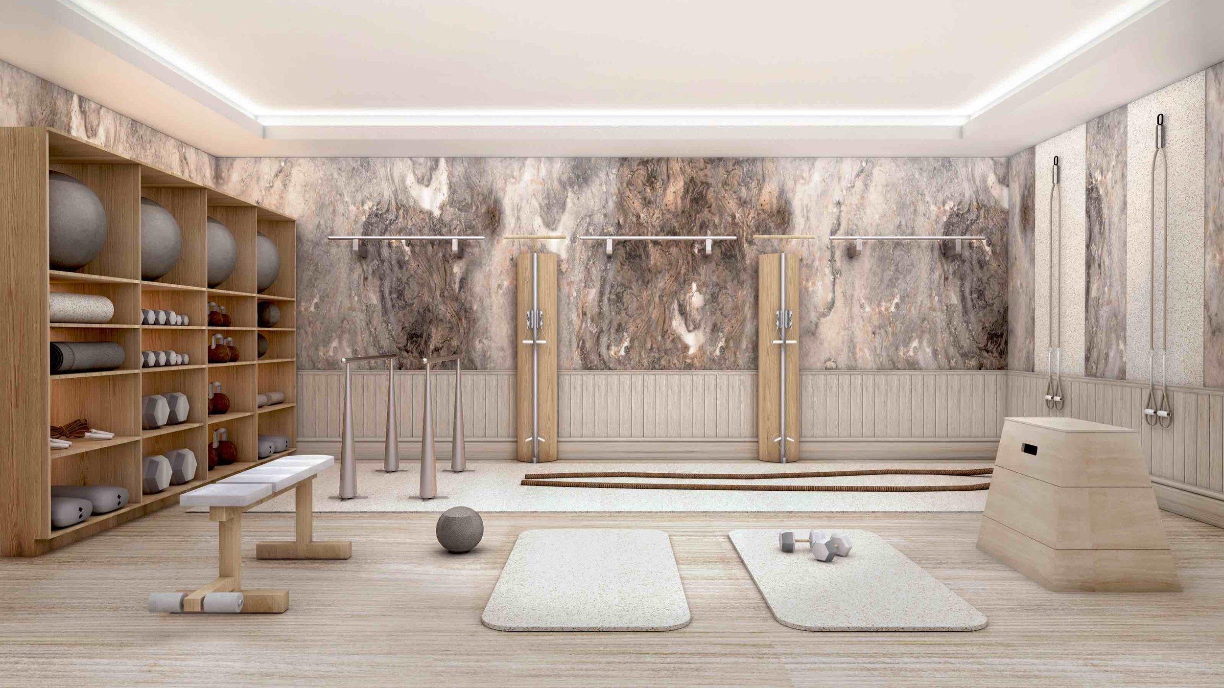 luxury home gym design