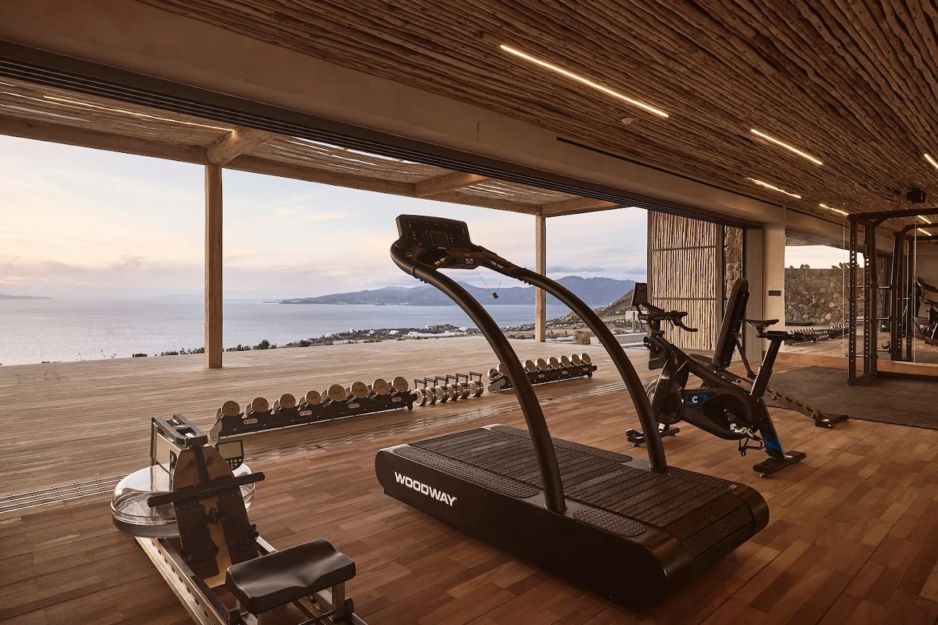 private villa Mykonos Greece gym design by Biofit