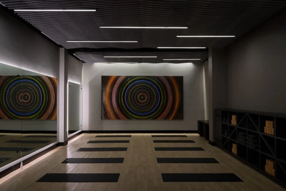 Recovery studio biohacking gym longevity studio detox spa — gym ...