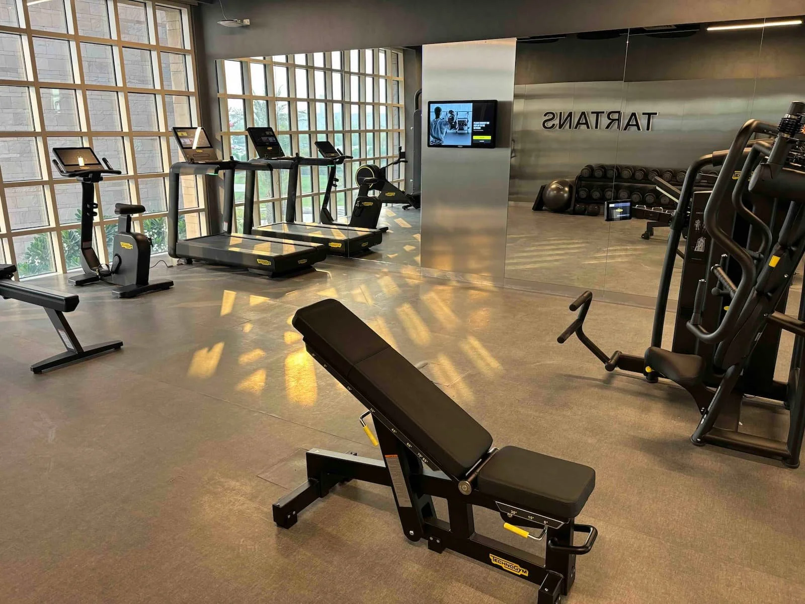 CMUQ student gym designed by Biofit - Matt Morley