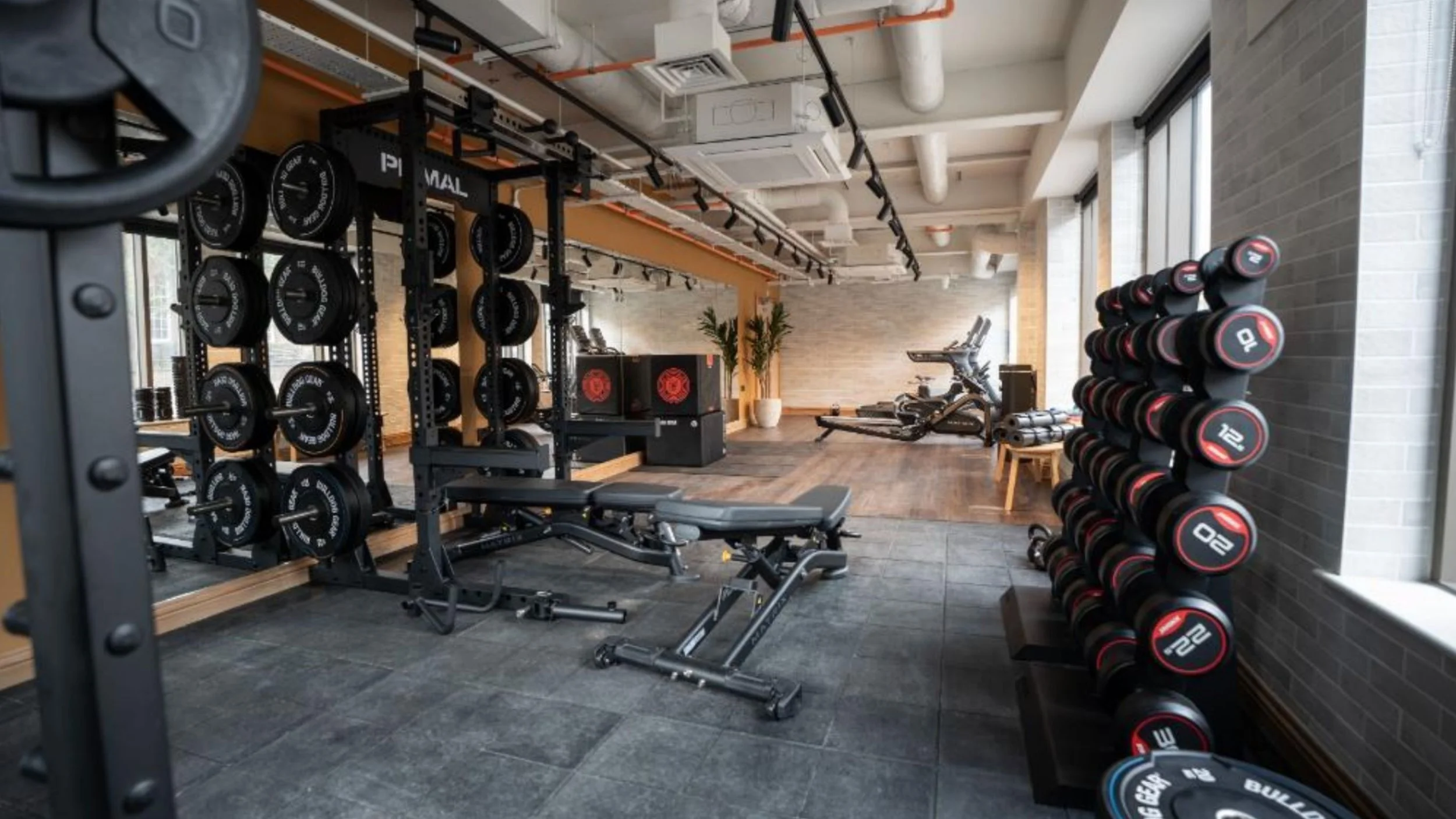 Strength training zone in student accommodation gym with squat rack, dumbbells and durable flooring.
