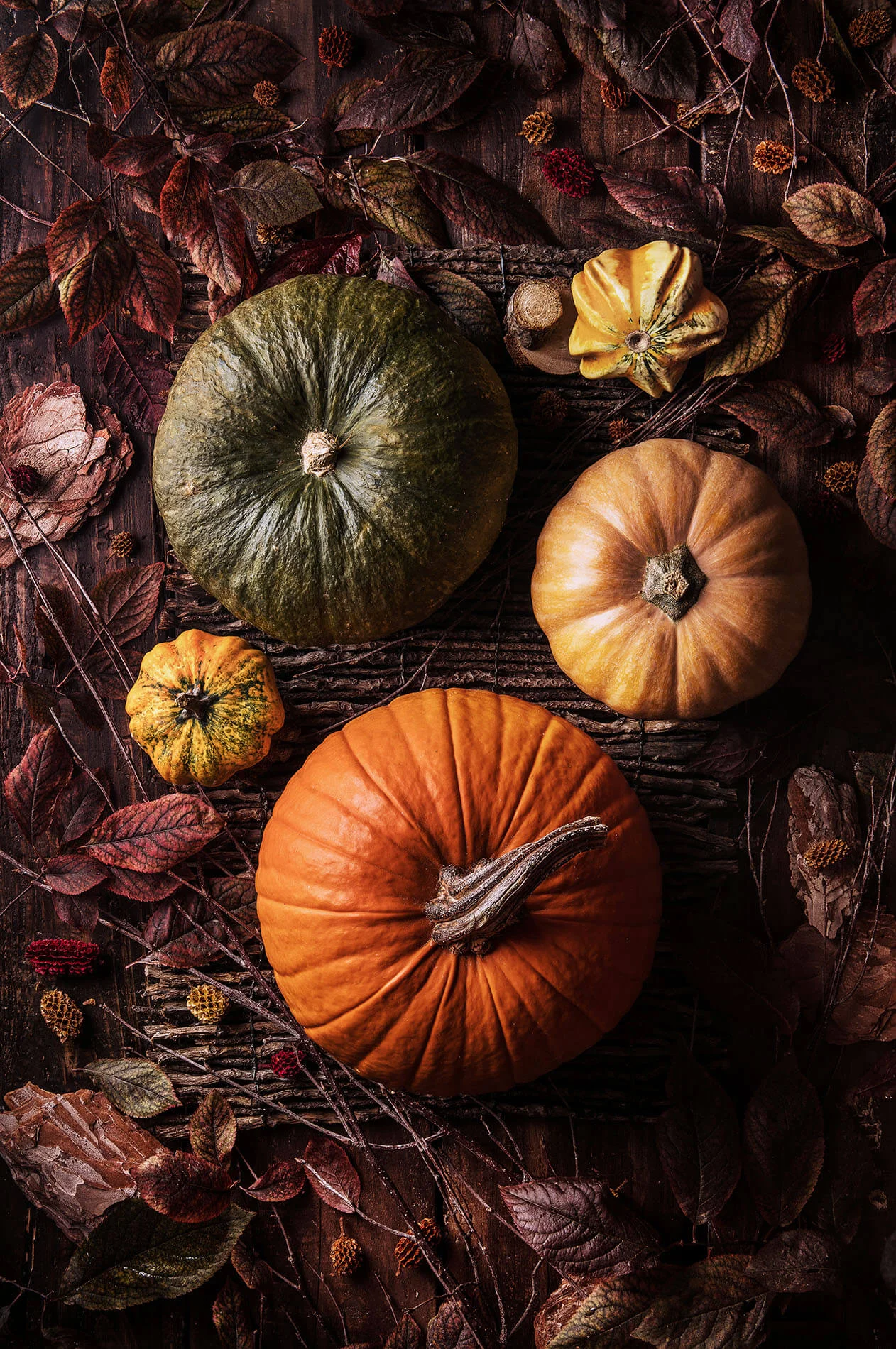 autumn.jpg
