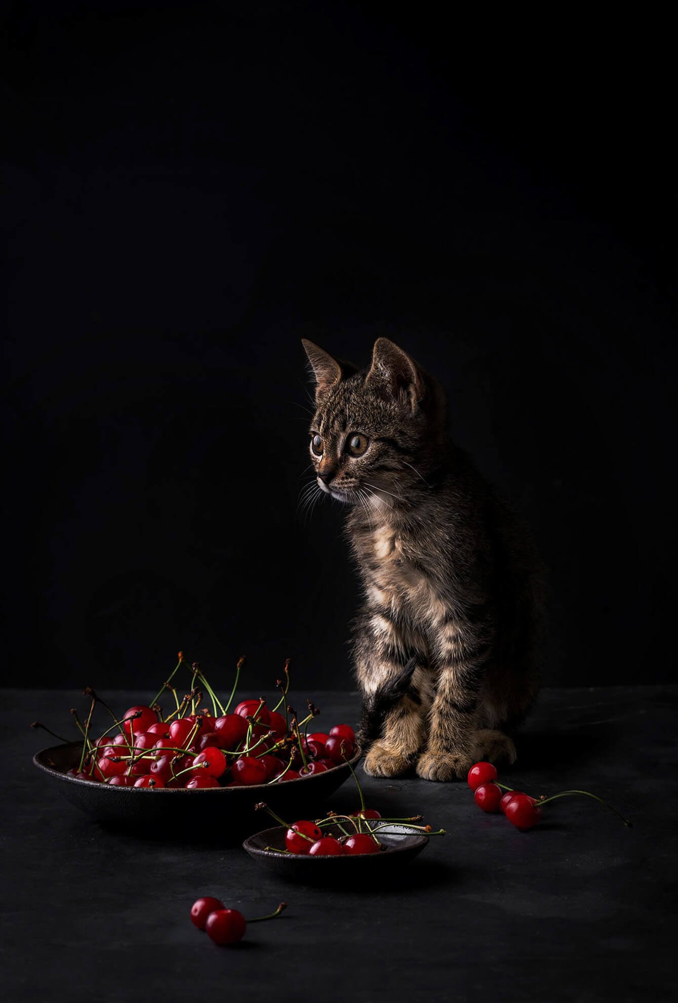 Kimi_Cherries.jpg
