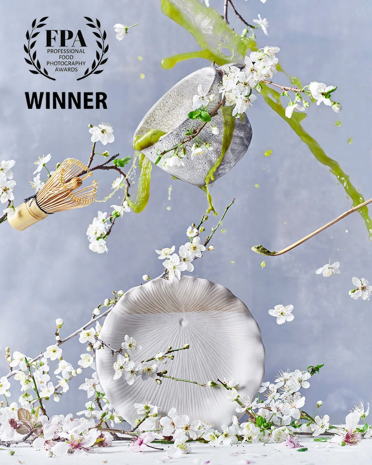 Special Selection Award